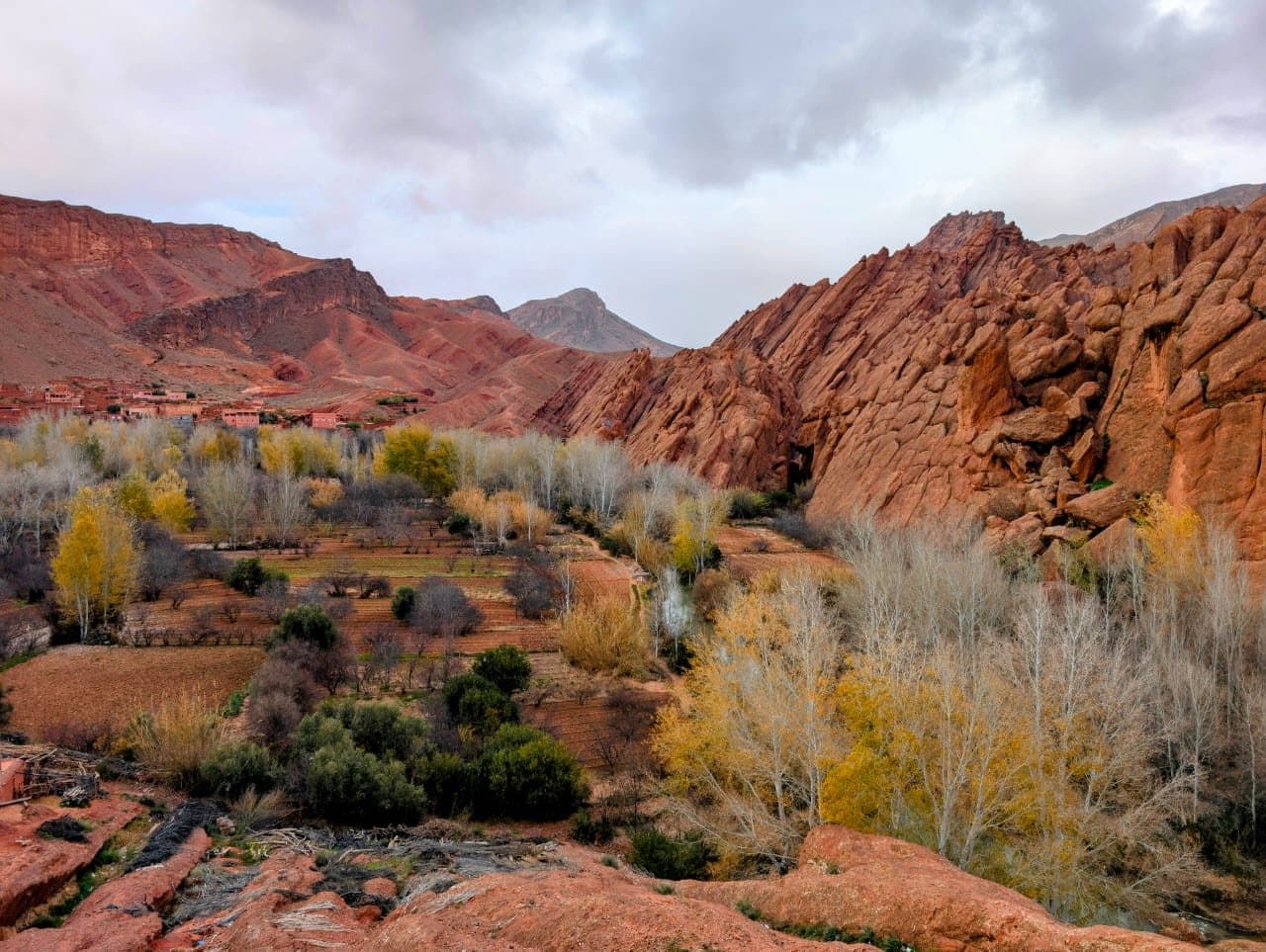 Trees and fields along the river in the Dadès Valley, with red rocks above