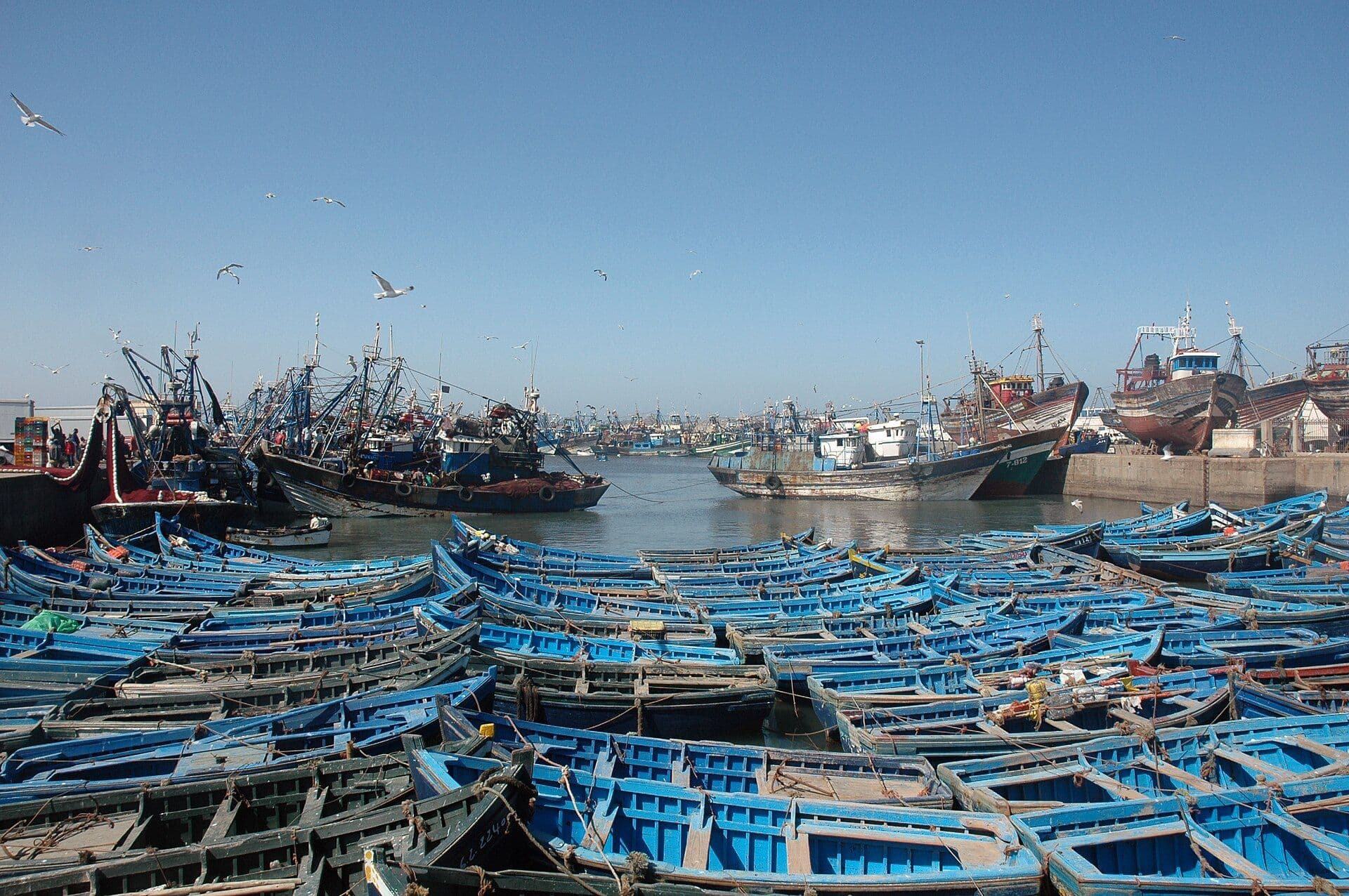 Blue wooden fishing boats packed closely together in the harbor of Essaouira