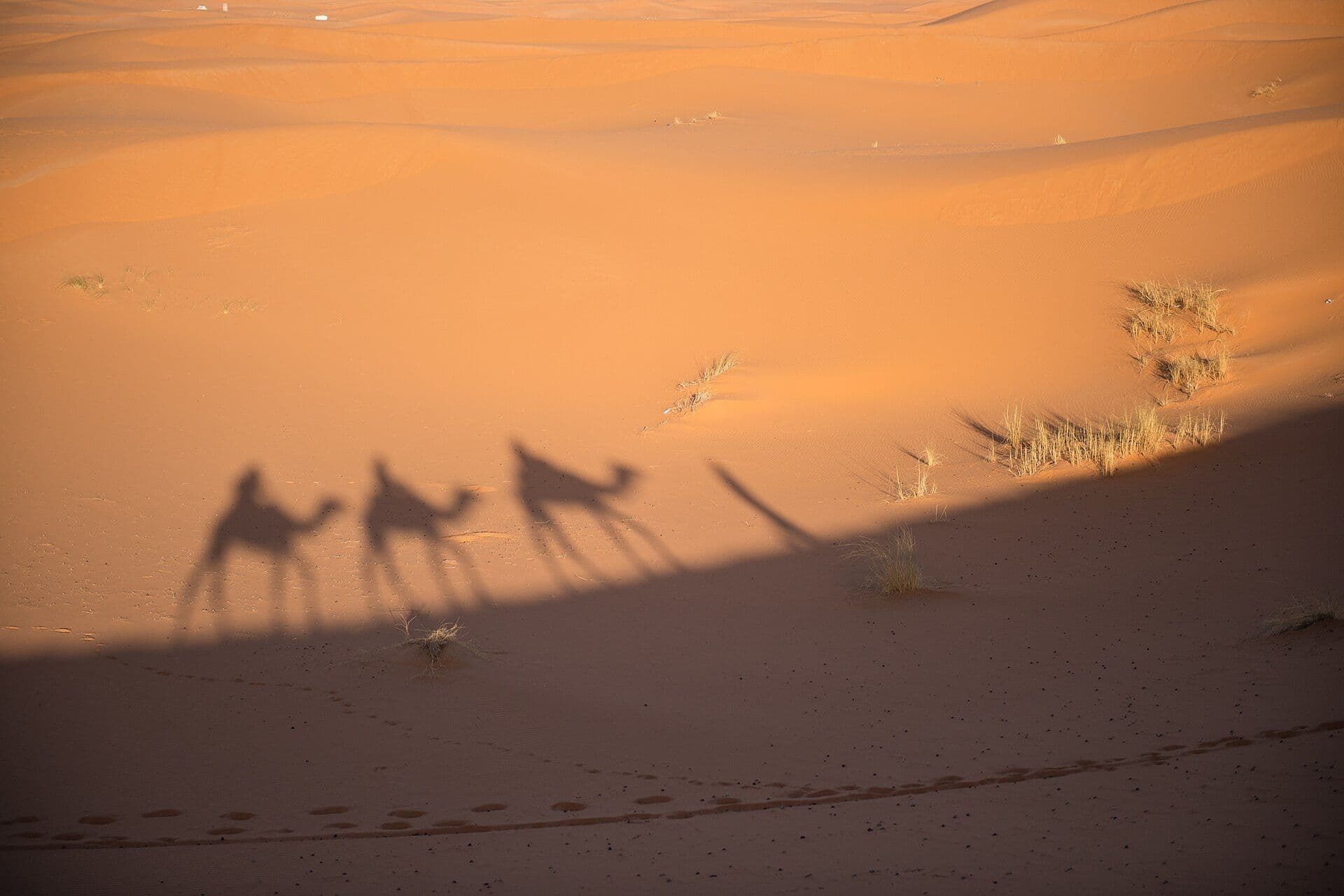Shadows of a camel caravan on the orange dunes of Erg Chebbi near Merzouga